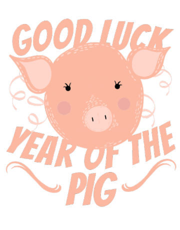 Good Luck Year Of The Pig
